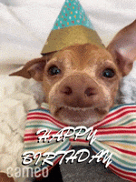 200.gif