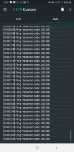 Screenshot_20210221-150956_HTTP Custom.jpg Screenshot_20210221-150956_HTTP Custom.jpg
