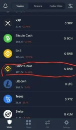 Screenshot_20210223-203639_Trust Wallet.webp