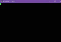 4390051_093354.webp