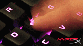 200.gif 200.gif