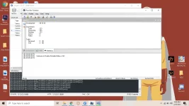 1614303792740.webp