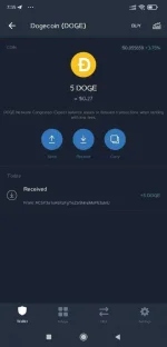 Screenshot_2021-02-25-19-35-07-063_com.wallet.crypto.trustapp.webp