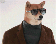 200.gif 200.gif