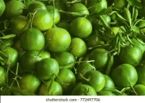 1614434474966.webp
