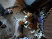 IMG20210216092533.webp