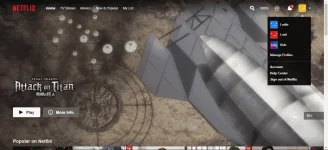 Screenshot (311).webp