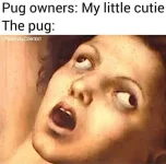 145803347_3673822646058398_1230072695164265063_n.webp
