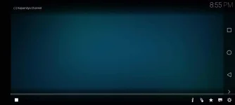 Screenshot_20210228_205513_org.xbmc.kodi.webp