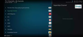 Screenshot_20210228_205334_org.xbmc.kodi.webp