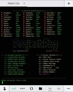 Screenshot_20210301-133445_Termius.jpg