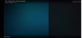 Screenshot_20210301_155517_org.xbmc.kodi.webp