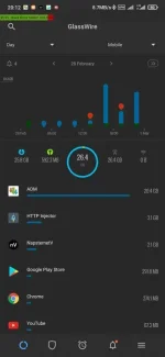 Screenshot_2021-03-01-20-12-17-419_com.glasswire.android.webp