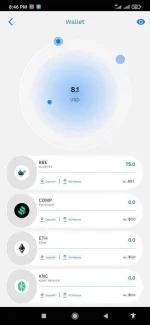 Screenshot_2021-03-01-20-46-11-106_com.blubitex.blubitexapp.webp