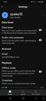Screenshot_20210301-225024_Spotify.webp