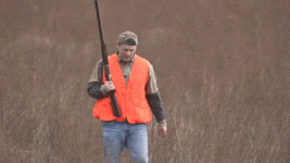 200.gif