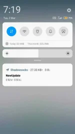 Screenshot_2021-03-02-19-19-33-929_com.github.shadowsocks.webp