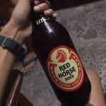 redhorsed.webp