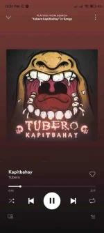 Screenshot_2021-03-03-22-31-31-294_com.spotify.music.webp