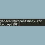 tidal01.webp tidal01.webp