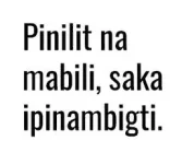 1614869551392.png