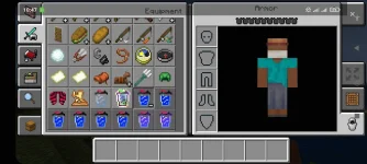 Screenshot_2021-03-05-10-47-55-648_com.mojang.minecraftpe.webp