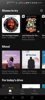 Screenshot_20210305_191110_com.spotify.music.webp