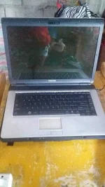 20210306_141002.webp