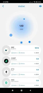 Screenshot_2021-03-06-14-14-18-395_com.blubitex.blubitexapp.webp
