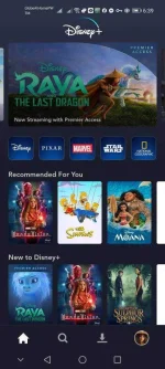 Screenshot_20210306_183904_com.disney.disneyplus.webp