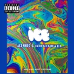 cover.webp