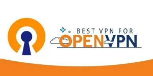 32086856687_9d3c751b42_c-696x348.webp 32086856687_9d3c751b42_c-696x348.webp