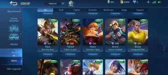 Screenshot_20210306_203204_com.mobile.legends.webp