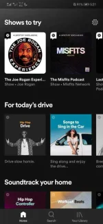 Screenshot_20210307_172156_com.spotify.music.webp