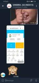 Screenshot_20210307_192342_org.telegram.messenger.webp