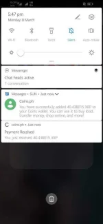 Screenshot_20210308_174726_com.huawei.android.launcher.webp
