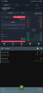 Screenshot_2021-03-08-19-53-13-231_com.github.shadowsocks.webp