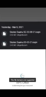Screenshot_2021-03-09-00-03-49-35.webp