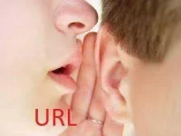 3hw61n.webp