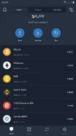 Screenshot_20210312-112030_Trust Wallet.webp