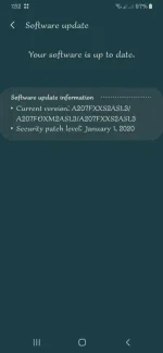 Screenshot_20210312-135245_Software update.webp