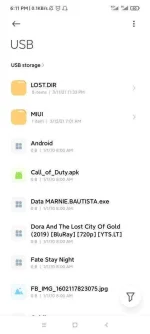 Screenshot_2021-03-13-18-11-06-116_com.android.fileexplorer.webp