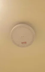 158902291_4526755300673885_4576550592279447246_o.webp