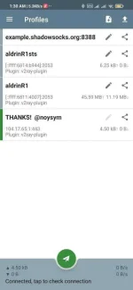 Screenshot_2021-03-15-01-30-51-863_com.github.shadowsocks.webp