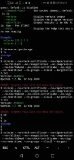 Screenshot_20210317_181148_com.termux.webp