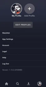 Screenshot_2021-03-19-11-36-03-41.webp