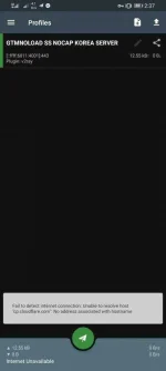 Screenshot_20210319_143703_com.github.shadowsocks.webp