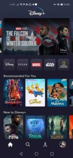 Screenshot_20210319_200903_com.disney.disneyplus.webp