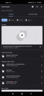 Screenshot_2021-03-19-23-46-10-348_com.android.chrome.webp