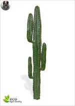 images (8).webp